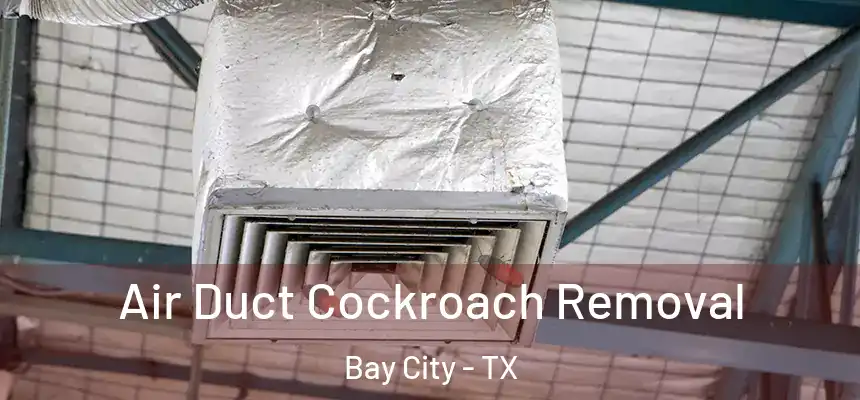  Air Duct Cockroach Removal Bay City - TX