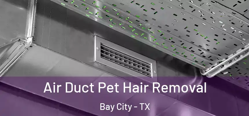  Air Duct Pet Hair Removal Bay City - TX