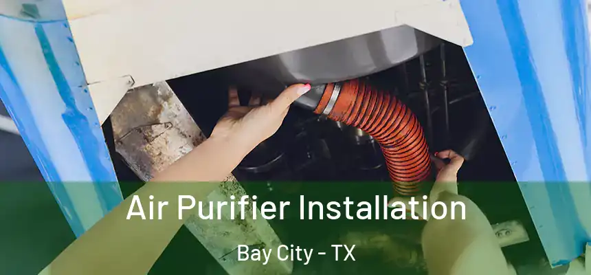  Air Purifier Installation Bay City - TX
