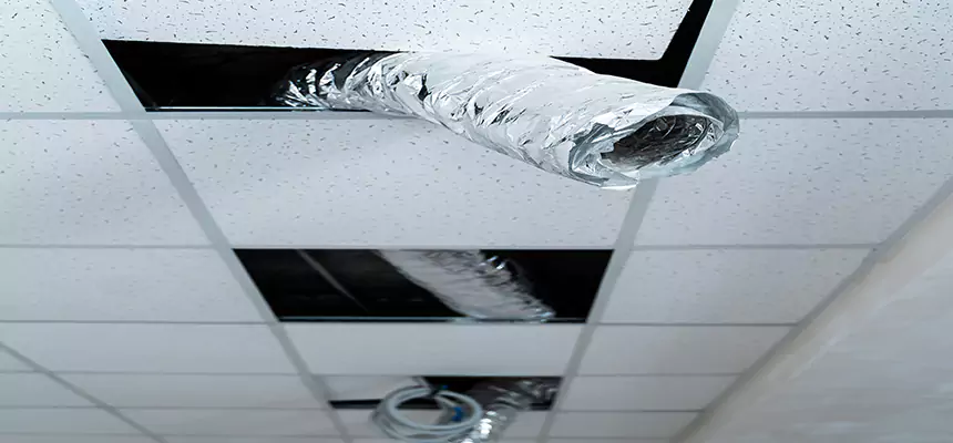 Our Air Duct Pet Hair Removal Services in Bay City, TX