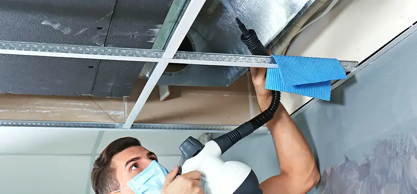 Our Air Duct Rodent Removal Services in Bay City, TX