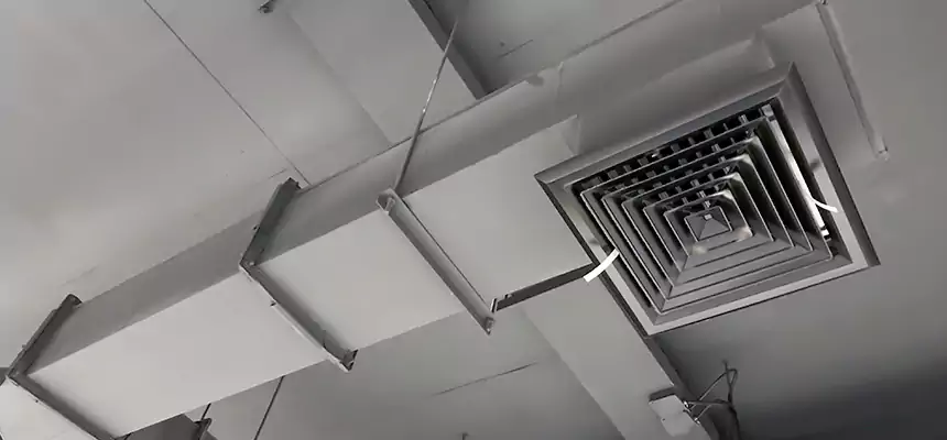 Our Rodent Droppings In Vents Services in Bay City, TX