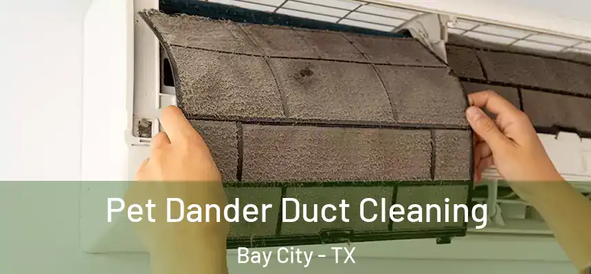  Pet Dander Duct Cleaning Bay City - TX