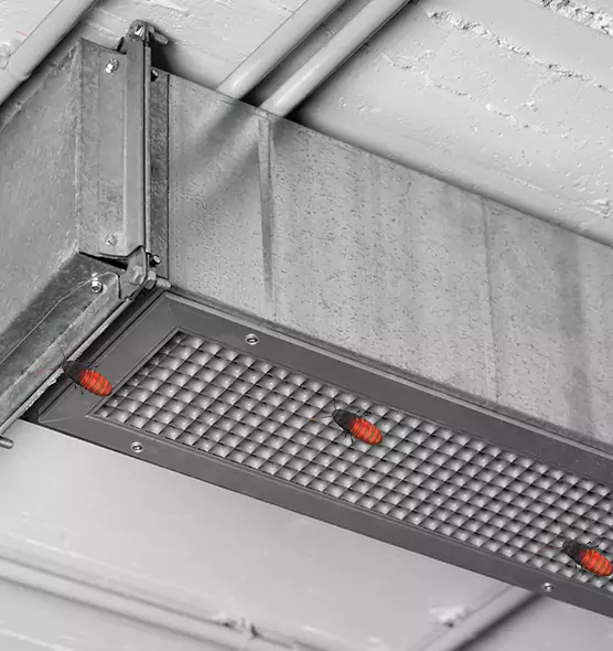 Affordable Insect Removal from Air Ducts in Bay City, TX