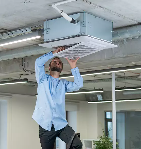 Advanced Rodent Droppings In Vents in Bay City, TX