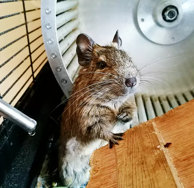 Why Homeowners & Businesses Trust Us Bay City, TX?