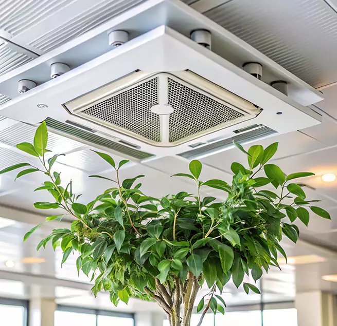 Why Homeowners & Businesses Trust Us in Bay City, TX?